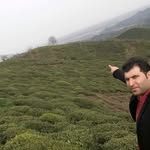 saeed khorami - @khorami.saeed - Instagram