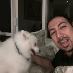 Saeed Khorami - @saeid_khorami - Instagram
