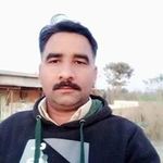 Saeed Majeed - @saeedmajeed441 - Instagram