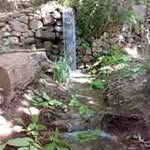 Saeed Masood - @masood9532 - Instagram