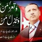 Saeed Masood - @saeedmasood8433 - Instagram