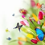 Saeed Munir - @minahil.saeed.7587 - Instagram