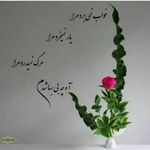saeed naimi - @naimi_saeed - Instagram
