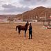 Saeed Nouri - Facebook