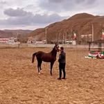 saeed.nouri - @_saeed.nouri_ - Instagram