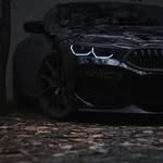 Saeed Rehman - @vacovenom - Instagram