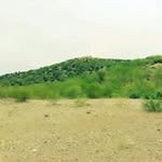 Saeed Rehman Gulona - @saeedrehmangulona - Instagram