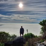 Saeed Suleiman - @saeedsuleiman24 - Instagram