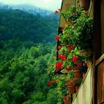 saeed - @saeed.vafaei.1984 - Instagram