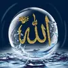 روائع الاسلام 👌🏼 - @saeedyahyaahmaed - TikTok
