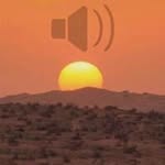 Yahya Saeed - @saeed.yahya - Instagram