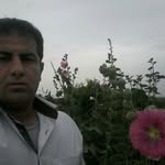 سعید یاسینی - @saeedyasini623 - Instagram