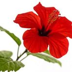 Saeeda Patel - Facebook