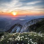 Saeeda Shah - @saeedashah11 - Instagram