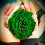 Saeeda Shah Rashdi - @saeedarashdi - Instagram