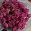 Saeeda Shahzaman - @saeedashahzaman - TikTok