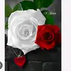 saeedashah - @saeedashah115 - TikTok