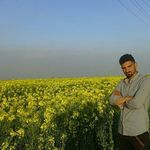 saeid emami - @saeid_emami1311 - Instagram