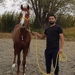saeid jafari - @jafari687192 - Instagram