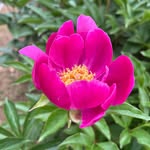 세상함께보기 - @saempark921 - Instagram