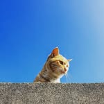 Saetbyeol kim - @ddonkeys_0203 - Instagram