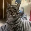 Saetbyeol Kim - @saetbyeolkim57 - TikTok