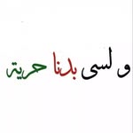 Safwan Abouarraj - @saf.wan.72 - Instagram
