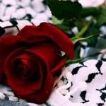 ‏ميمو - @safa.alkhatib.750 - Instagram
