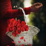 safa alkhatib - @sa.fa2162 - Instagram