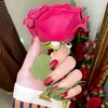 safa alkhatib - @safaalkhatib3 - TikTok
