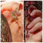 Safa Alkhatib - Facebook
