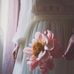 Safa Hamad - Facebook
