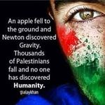 Safa Hamad - @safahamad1873 - Instagram