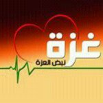 Safa Hamad Shu - @shusafa - Instagram