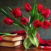 Safa Hamdi - Facebook