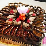 Safa Merchant - @safamerchant - Instagram