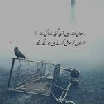 Safa Nadeem - @safanadeem17 - Instagram