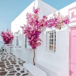 صفا عثمان - @safaosman12 - Instagram