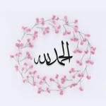 Safa Osman - @safa.osman.311 - Instagram