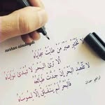 Safa Osman - @foo6647 - Instagram
