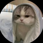 Safa Rahman - @_safa.rahman_ - Instagram