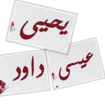 Safa Soliman - @safa_soliman - Instagram