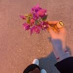 Safa Soliman - @safa.soliman.1 - Instagram