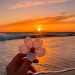 Safa Soliman - Facebook