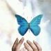 Safaa Deeb - Facebook