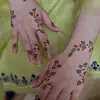 ȘAFIA_BAIG - @safiyabaig_ - TikTok
