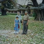 Safia Baig - @safiabaig173 - Instagram