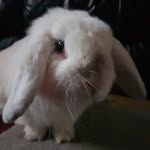 Safia Baig - @safiabaig42 - Instagram