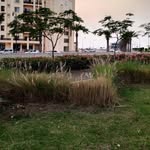 Safia Baig - @safiabaig2 - Instagram
