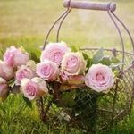 Safia Baig - @safia.baig.7773 - Instagram